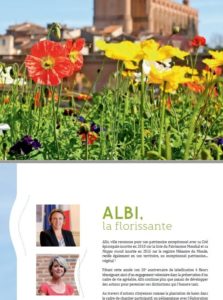 albi rapport 4F 22